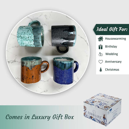 Set of four ceramic mugs with different color patterns on a marble surface, with an EvaniLife gift box below.